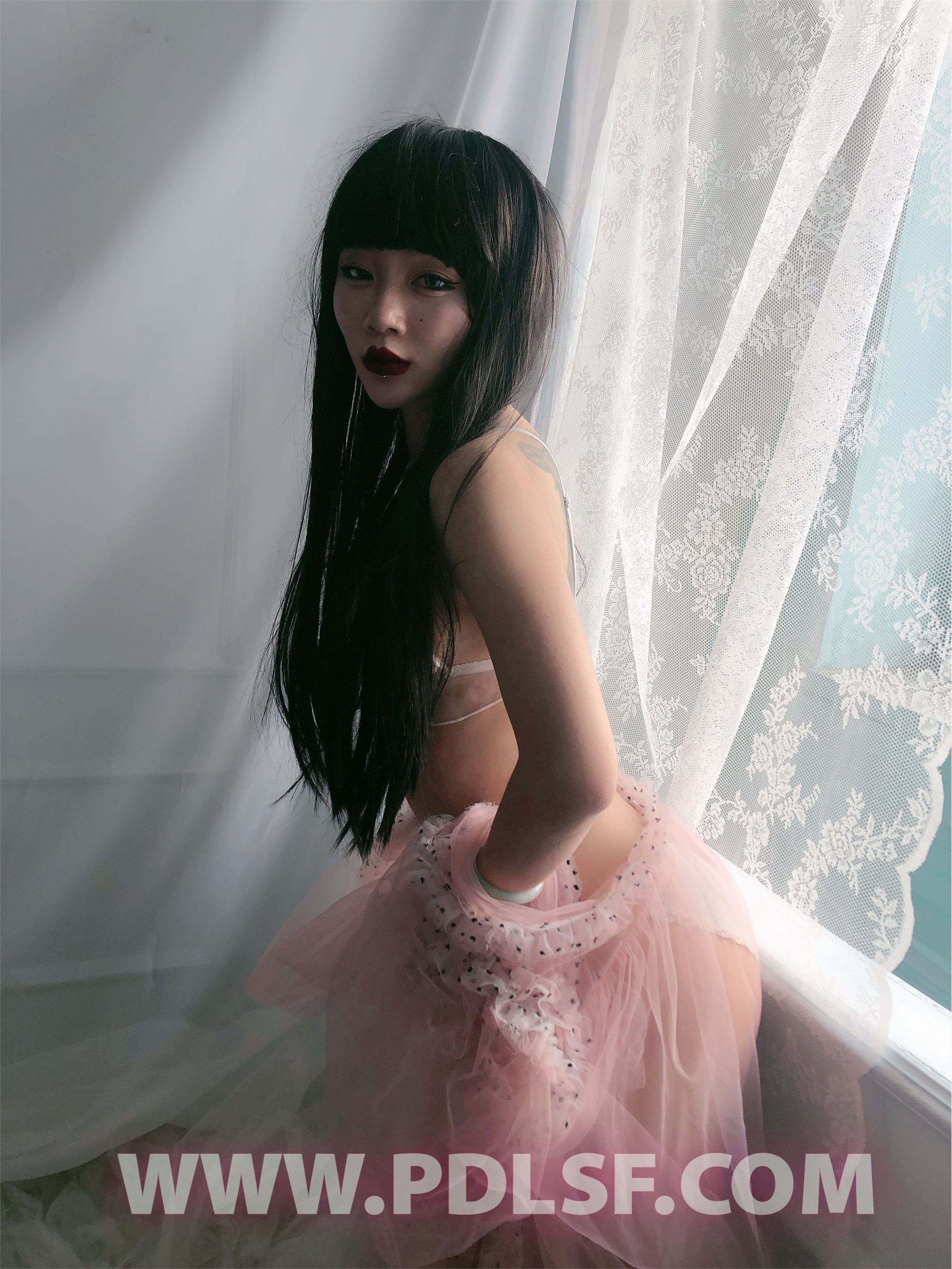 PDL潘多拉 2020.02.03 专辑No.275